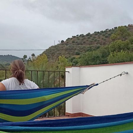 Villanueva de San Juan Apartamento Casa Con Vistas Al Campo Y Cocina Con Terraza מראה חיצוני תמונה